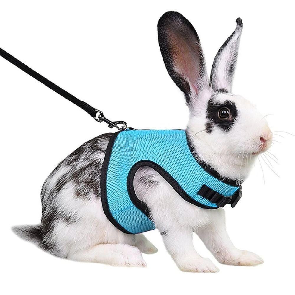 Pet Harness Rabbit Chest Harness Leash Fine Workmanship Rabbit Vest Harness Pets Supplies
