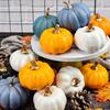 12Pcs Artificial Pumpkins Lightweight Durable Foam Pumpkins for Fall Wedding Thanksgiving Halloween Decor