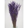 Ударопрочный, устойчивый к разливу, настоящий букет лаванды, фиолетовый (100 грамм)