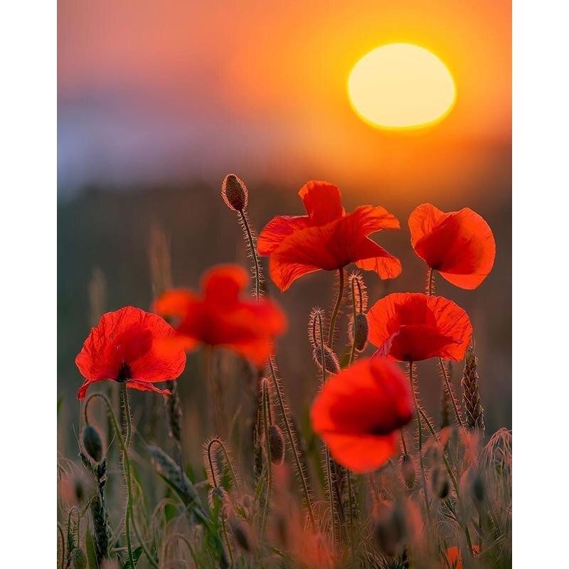 5D DIY алмазная живопись закат пейзаж Алмазная вышивка пейзаж вышивка крестом полная круглая дрель ремесла домашний декор подарок