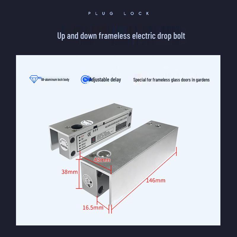 Realand F207T12 Face Recognition Access Control Kit for Double Frameless Glass Doors CN plug (adapter included)