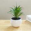 Fake Potted Plant Weather Resistant Photo Props Wide Application Excellent Mini Succulents Desk Office Potted Home Accessories