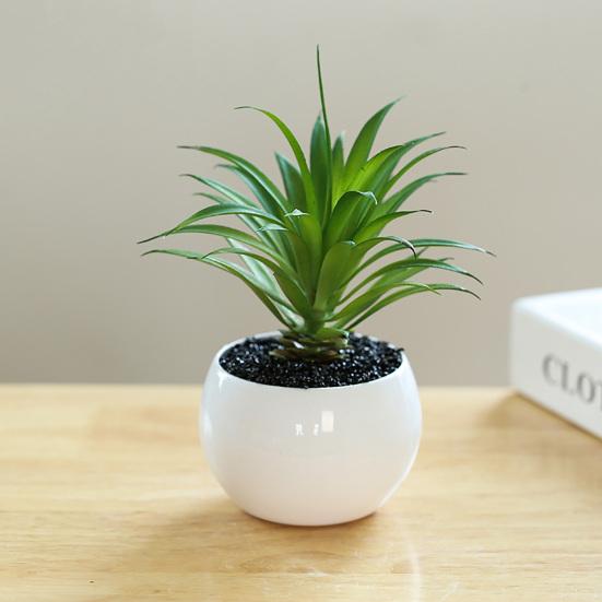 Fake Potted Plant Weather Resistant Photo Props Wide Application Excellent Mini Succulents Desk Office Potted Home Accessories