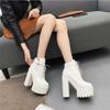 Fashion 2024 New Women's Sexy Winter Black Boots Platfrom Boot Women Fashion Shoes Thick High Heel Boots Ankle Boots
