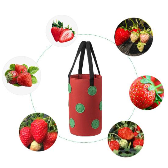 Растущий мешок Прочный нетканый материал большой емкости Подвесной мешок для горшков с клубничными растениями для сада