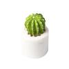 3D DIY Cactus Shape Cake Baking Cookie Chocolate Sugar Paste Food Silicone Mold Bakeware