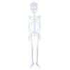 Fiestas Guirca Fluorescent Skeleton Halloween Decoration