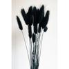 Черный цвет сушеная хлопчатник, кроличий хвост, свадебный букет, композиция из цветов лагуруса, 30 ветвей
