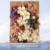 DIY Mixed Pressed Flowers Pack for Photo Frames and Kindergarten Crafts