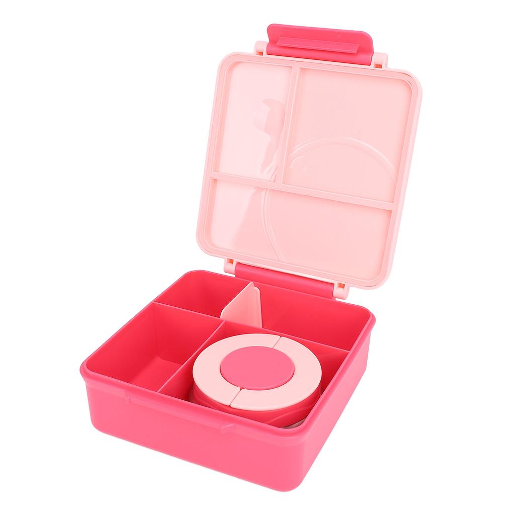 Lunch Container with Handle Sealed Multi Compartments Dishwasher Safe Lunch Box Container for Office School Roseate