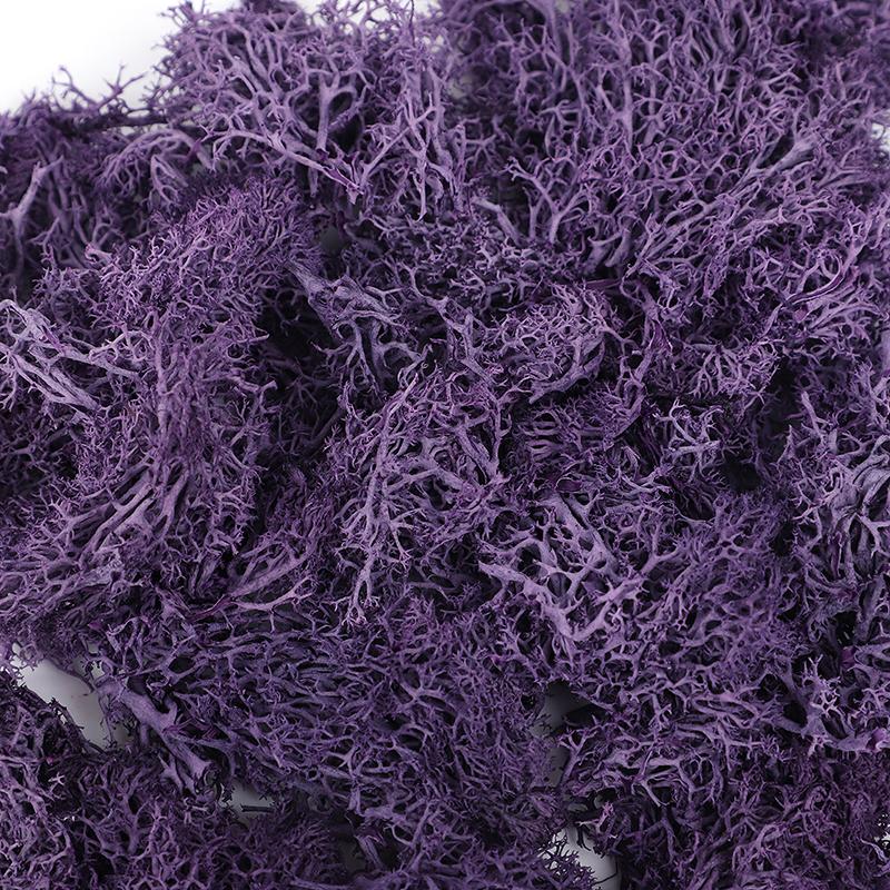 20/40/100g Artificial Green Plants Eternal Life Moss Grass DIY Crafts for Home Garden Room Decoration Mini Landscape Fake Flower