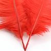 10pcs Feathers Ostrich 15-20cm Royal Blue Black White Pink Trim For Sewing Clothes Fabric Outfit Plumas Crafts Mixed Colors Hat