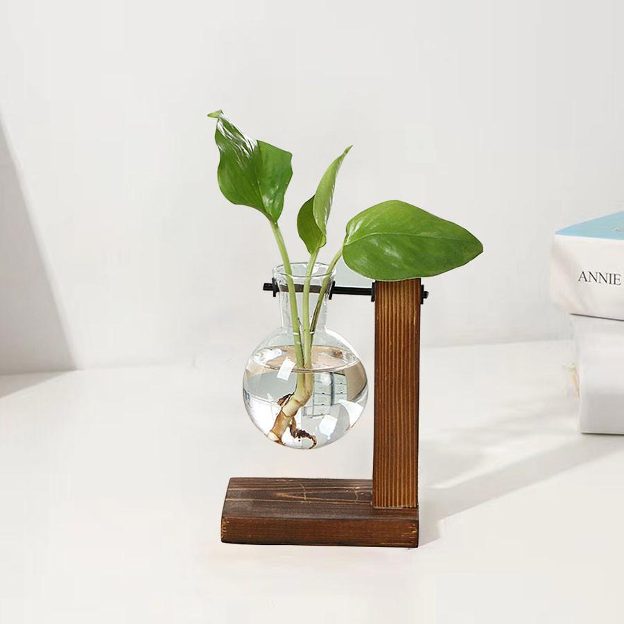 Creative Green Plants Wooden Frame Glass Vase Hydroponic Container Desktop Office Living Room Decoration