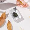 Natural Insect Specimens Resin Scarab Home Decoration Figurine Beetles Bugs Gifts For Environmentalists Home Office Ornaments
