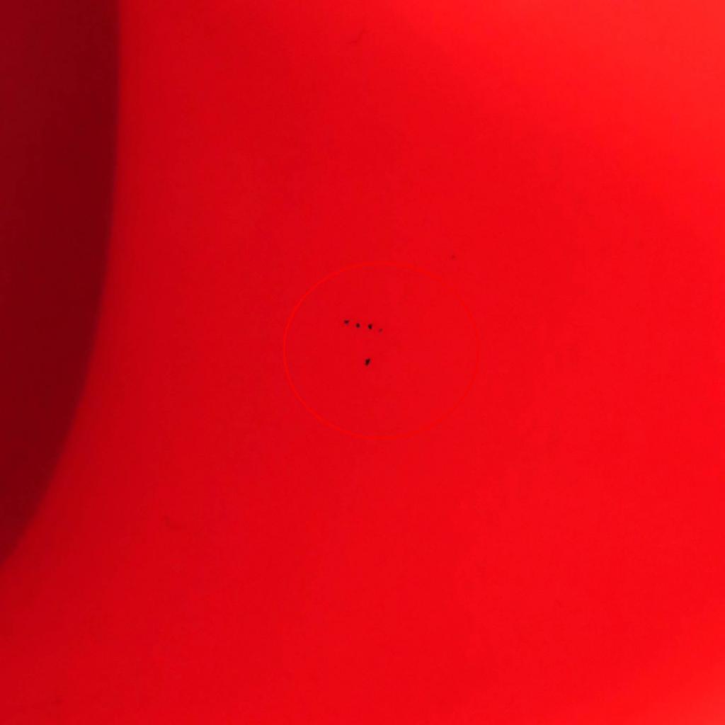 Pristine LOEWE Sandals Terraform Clogs Neon Orange Women 36 L814V29X15 Used