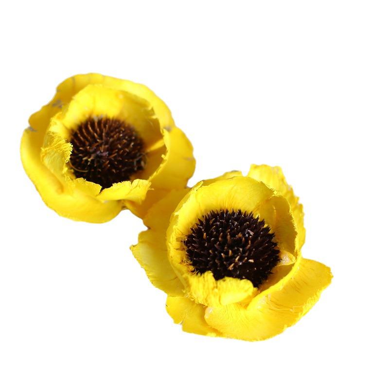 Dried Real Flowers & Materials: Pine Cones, Acorns, Cotton, Adhesives, Sunflowers - DIY Scented Floral Decor & Photography Props