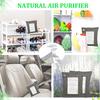 Activated  Charcoal Bags  Purifying Bags Natural  Purifier Freshener
