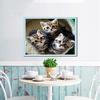 Алмазная мозаика животных 5D DIY Алмазная картина Вышивка Кошка Стразы