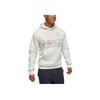 Jordan FW25 MJ PSG Худи с флисовой подкладкой Statement Унисекс худи Белый HV3424-133