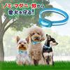 Для Earth Pet Лечебный ошейник от комаров Синий для маленьких собак 35 см Собака [квази-лекарственные животные] Блохи/клещи и