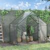 Foil Greenhouse, Walk-In, Roof Window, Roll-Up Door, Rust-Free Metal Frame, 180 x 100 x 168 cm, Transparent