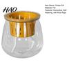 Hydroponic Plant Pot Self Watering Planter for Indoor Plants, Transparent Planter, Decorative Removable Basket Flowerpot with Wick Rope Home