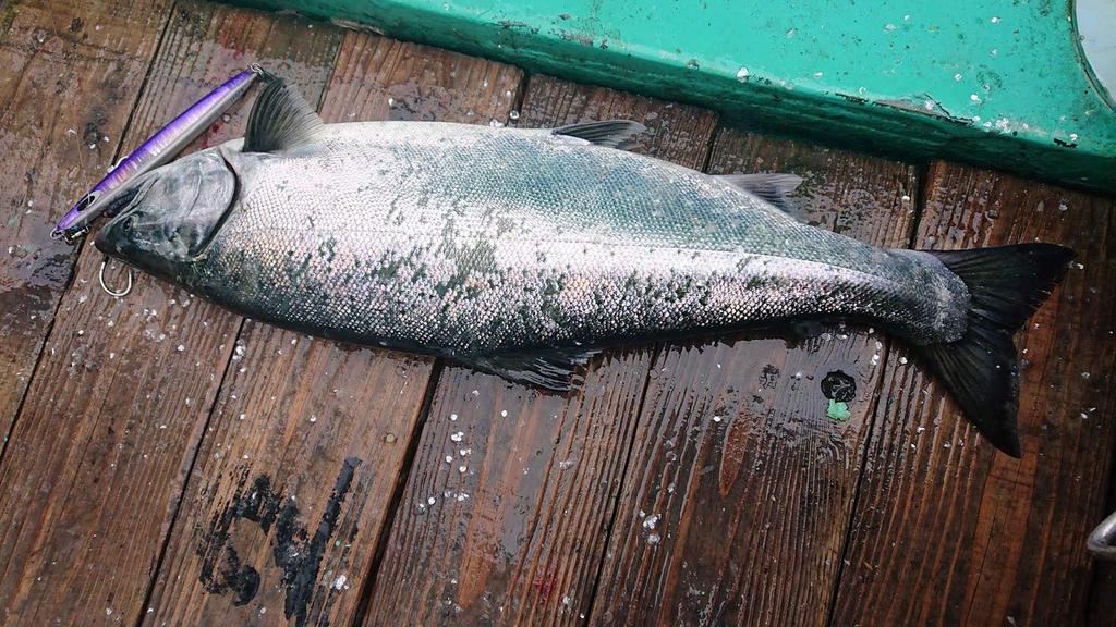 NatureBoys Lure Nakui Glow Orange 130g Wiggle Rider WR1130-15K