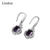 Lindon Copper Alloy Zircon Earrings Drop Earrings For Women Wedding Party Gifts