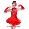 Professional Kids Latin Dance Dress Tassel Dance Performance Outfits Stage Costume  Show Costumes