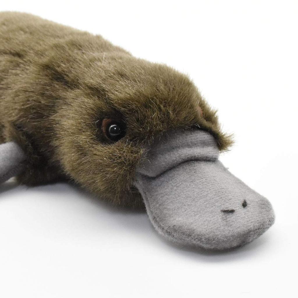 BH3250 HANSA Platypus 40