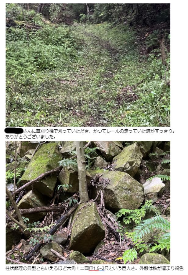 Natural Whetstone Iyo Name Toshibori Rough #20 / 1,551g