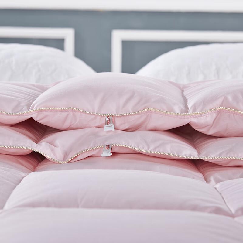 Yamian Premium Goose Down Winter Quilt