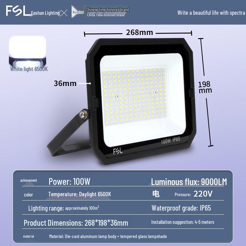 FSL IP65 Outdoor LED Floodlight