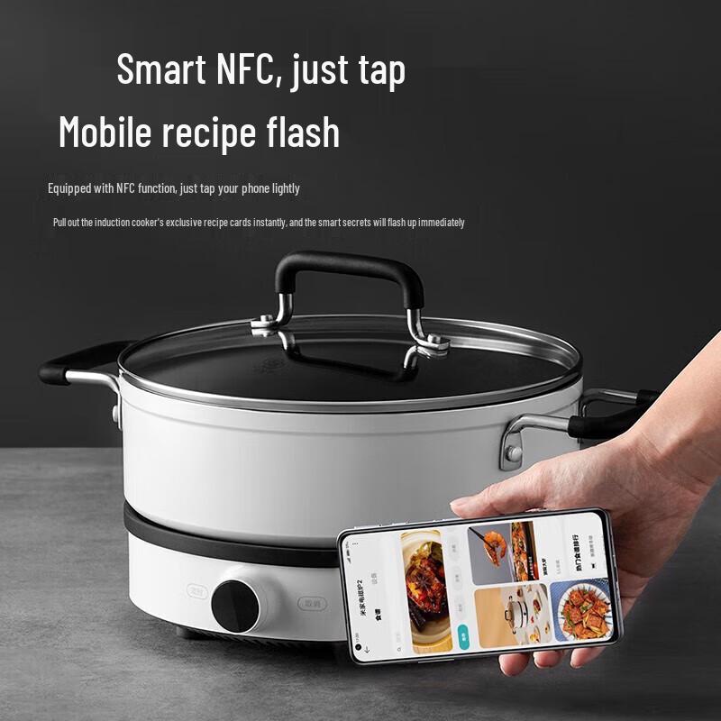 Xiaomi Mijia Induction Cooker 2 CN plug (adapter included)