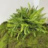 1PC Fake Leaves Garden Decoration Tropical Persian Vines Floral Wall Accessories Artificial Plants Wedding Party Fern Plant Home