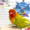 Игрушка-крутилка для попугаев Интерактивная игрушка-крутилка для птиц Игрушка-жевалка Вращающийся дозатор лакомств Головоломка Клетка Аксессуар для попугаев Конуры Кореллы