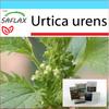 Подарочный набор - Крапива собачья - 150 семян - С подарочной коробкой, карточкой, этикеткой и субстратом для горшков - Urtica urens