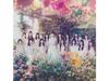 [CD+Blu-ray] Colorcon Wink Type A First Press Limited Edition AKB48 UPCH-89562