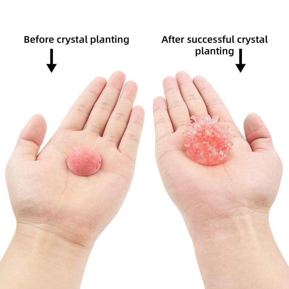 Grow a Crystal Science Experiments Toy Colored Crystals Crystal Making Kit Girls