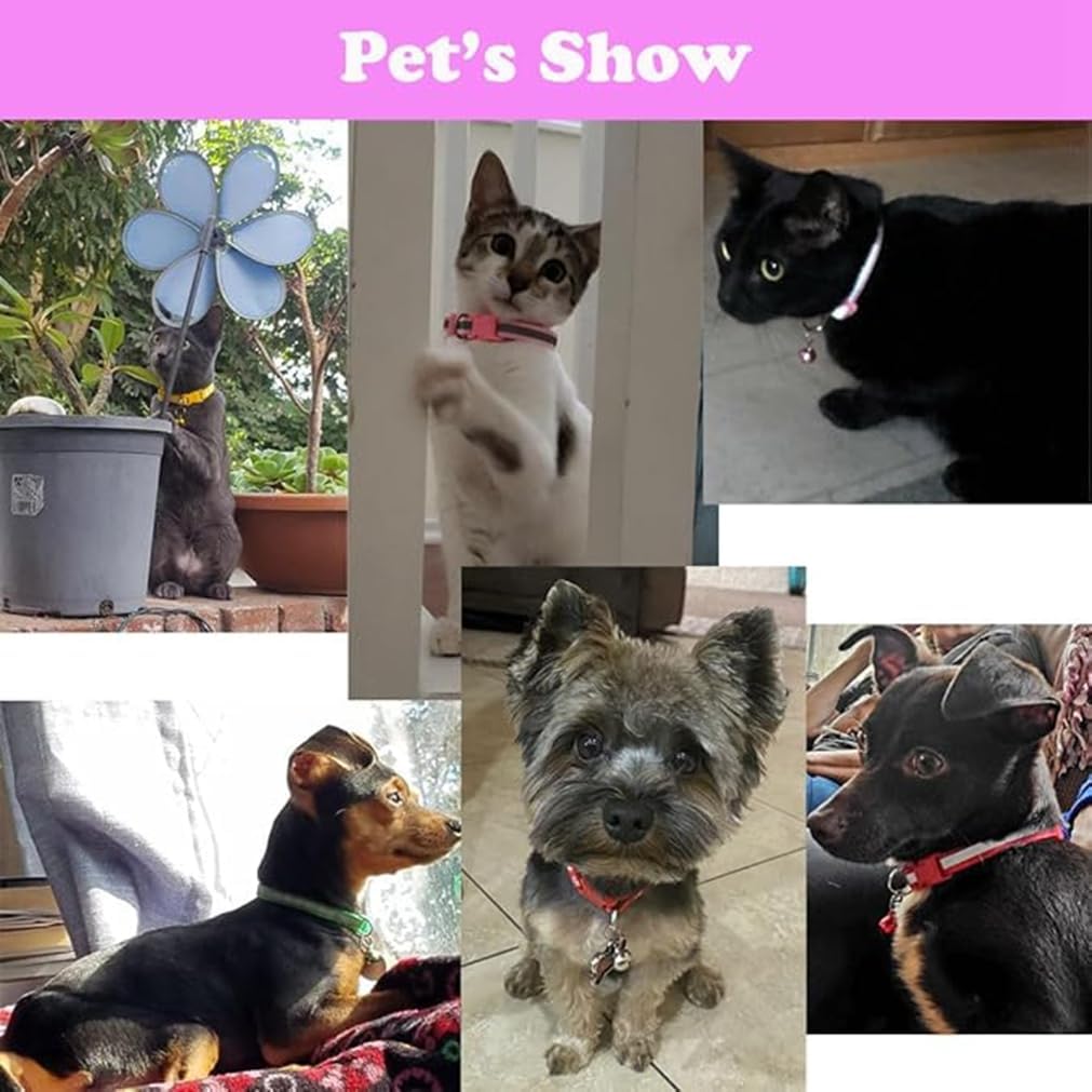 Pink Extra Small Dog Collar with Bell, 2-Pack Puppy Collar with Bells Reflective Kitten Cat Collars Adjustable Buckle for Tiny Little XS XSmall Small
