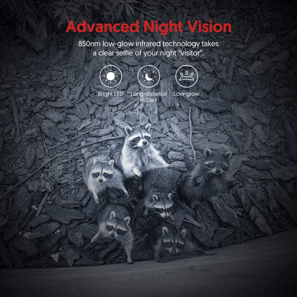LS VISION Мини Лесная Камера для Охоты 20МП 1080P Камеры для Дикой Природы Лесных Животных Камуфляжная Камера для Дикого Охотника Mini600 Фотоловушка для Слежения