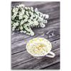 Canvas print Camomile tea