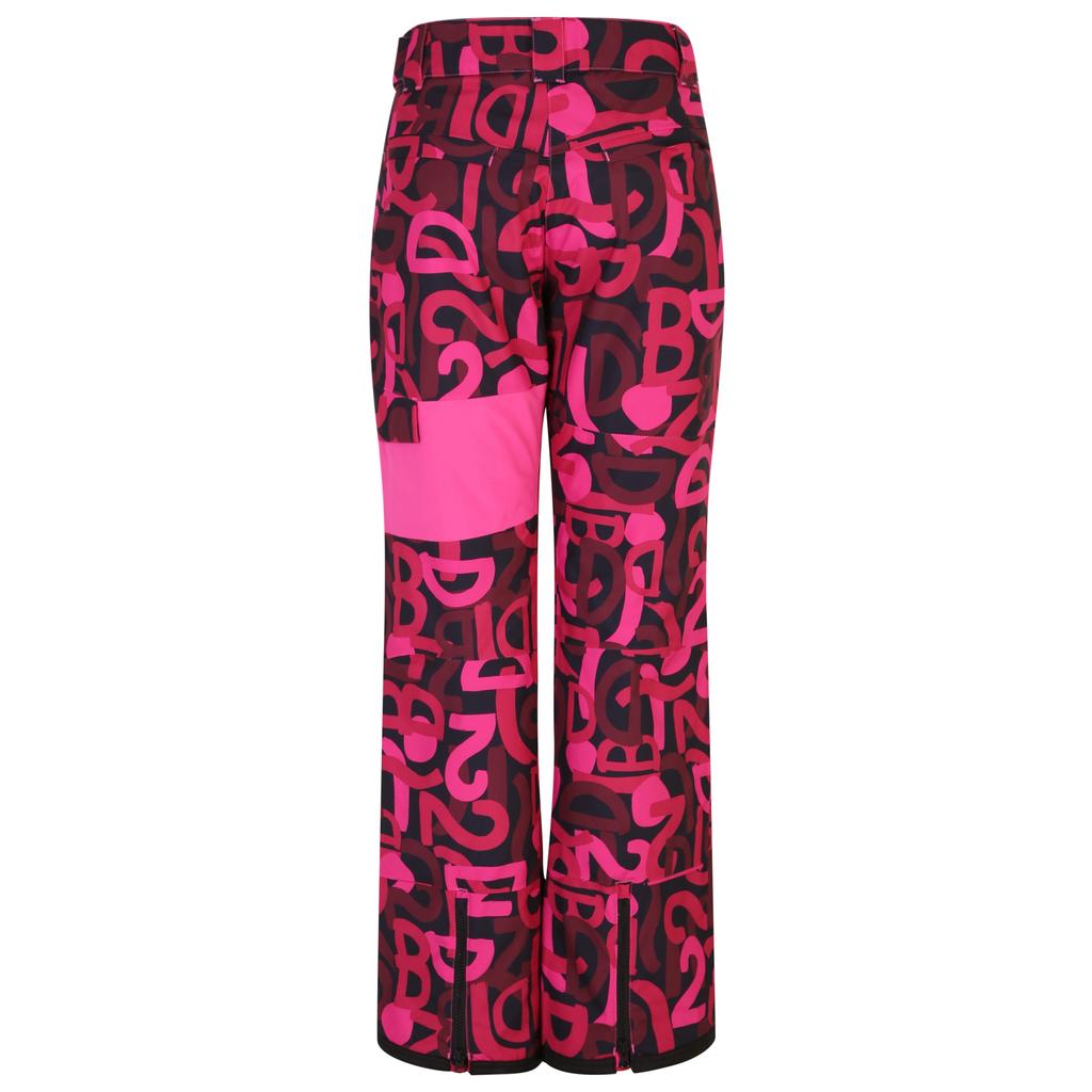 Womens/Ladies Ice Graffiti Ski Trousers