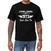 Aiyino Mens 1973 53rd Birthday T Shirt Living Legend Gift Tee
