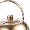Sleek Stainless Steel Tea Infuser Kettle for Home and Garden