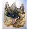 Набор для вышивки крестом DIY Алмазная вышивка Два волка собаки Алмазная картина Мозаика Домашний декор