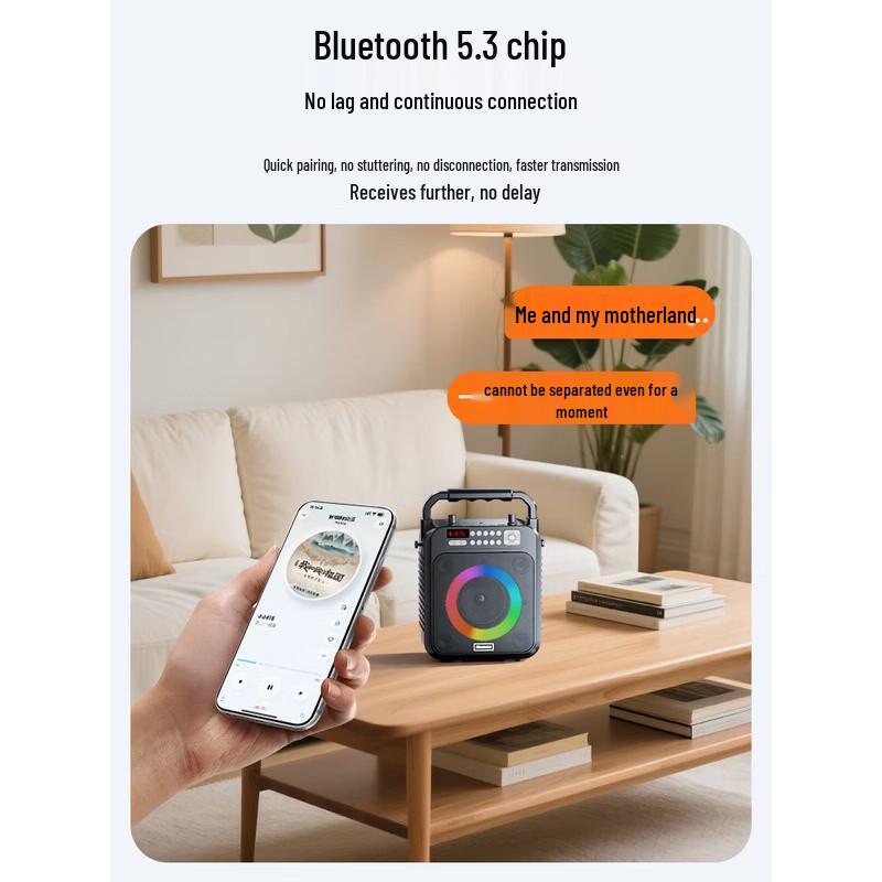 Портативный Bluetooth-динамик KTV Newmine K522 с двумя микрофонами, штекер CN (адаптер в комплекте)