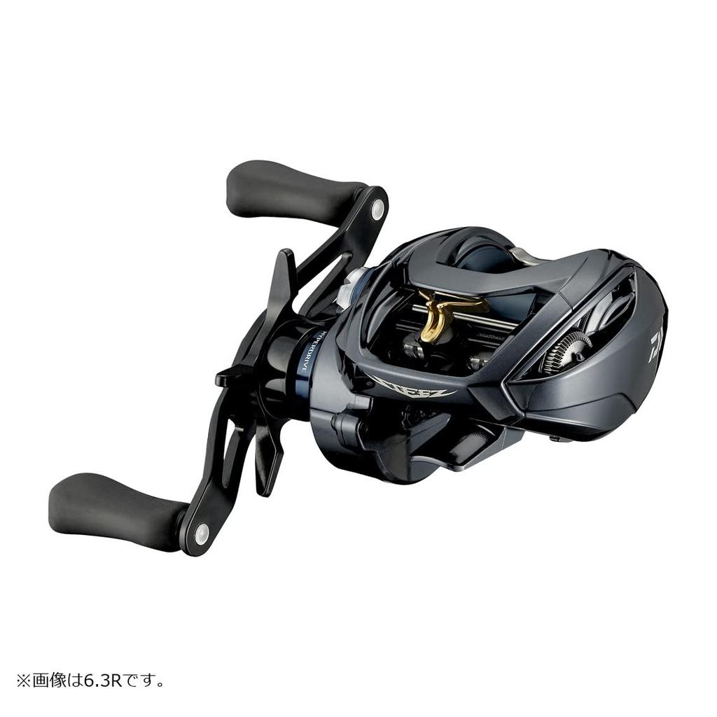 Daiwa Baitcasting Reel Steez A TW HLC 8.1R