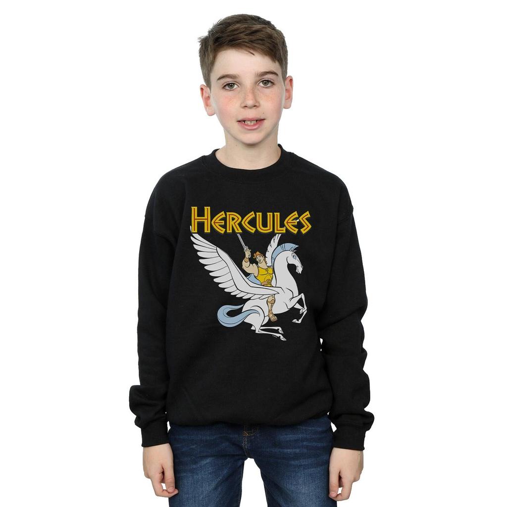 Disney Свитшот для мальчиков «Геркулес с Пегасом»