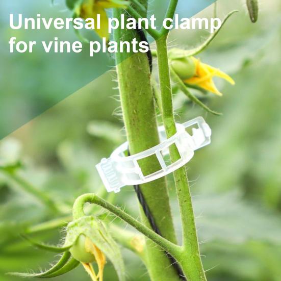 100/200/300/400/500 шт. зажимы для поддержки садовых растений, зажимы для винограда, томатов, зажим для фиксации стебля овощной лозы, зажим для вертикальной плетистой решетки для цветка и тыквы